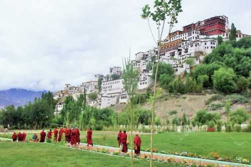 TREKKING IN LADAKH | CHANGTANG 2017